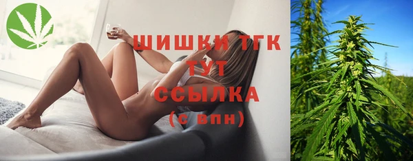 МДПВ Алексин