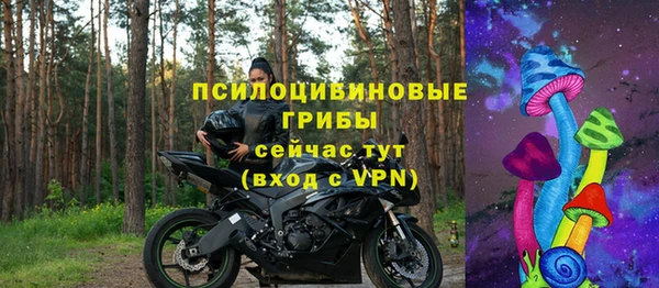 амф Елабуга
